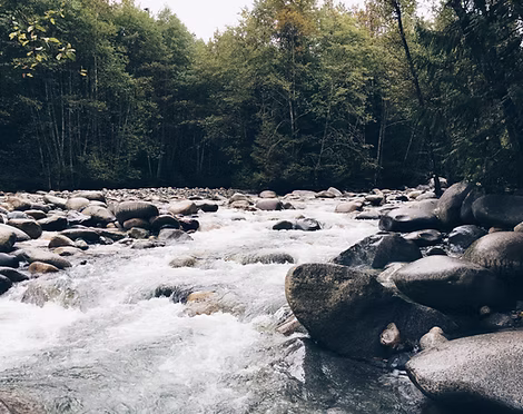 Stoney River
