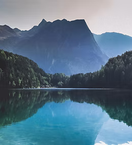 Wild Nature