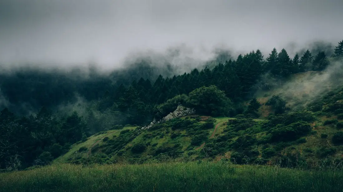 Fog over a mountain lake